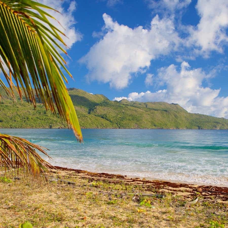 Samana Day Tour: Cayo Levantado & Rincon Bay Paradise - Dominican Republic