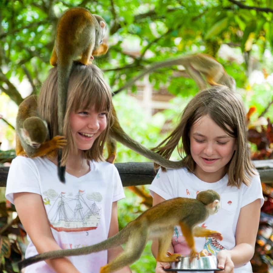 Samaná: Monkeyland and Open-Air Safari Truck Tour
