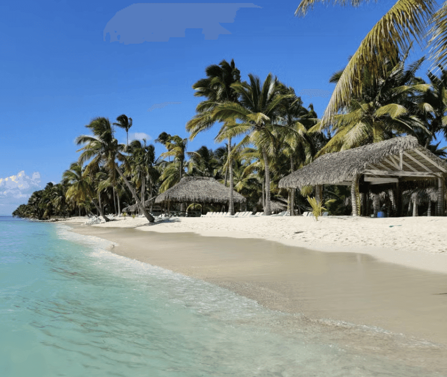 Punta Cana :Saona Island Paradise full-Day Escape