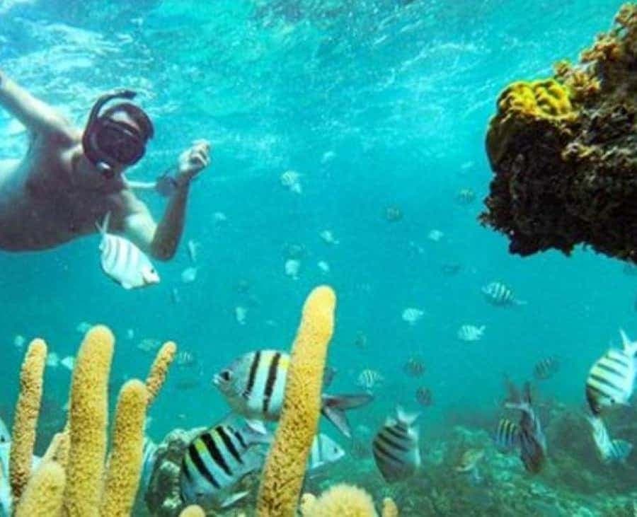 Punta Cana: Party Boat and Snorkeling Adventure