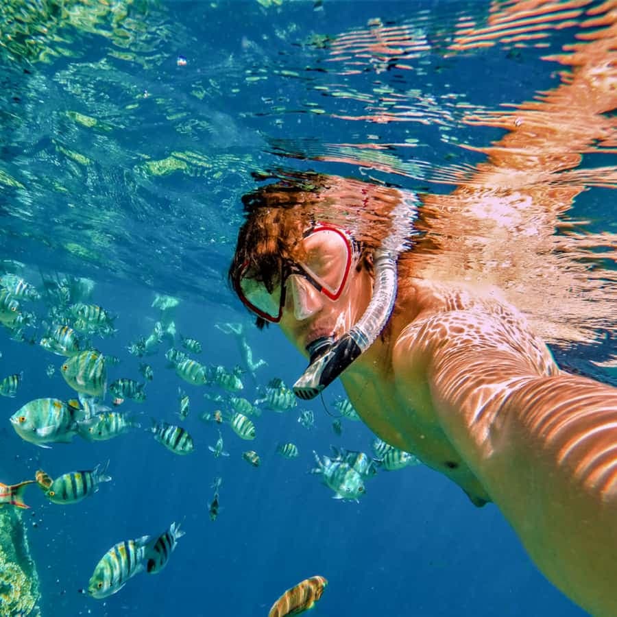 Bayahibe: Catalina Island Snorkeling and Diving Tour - Dominican Republic