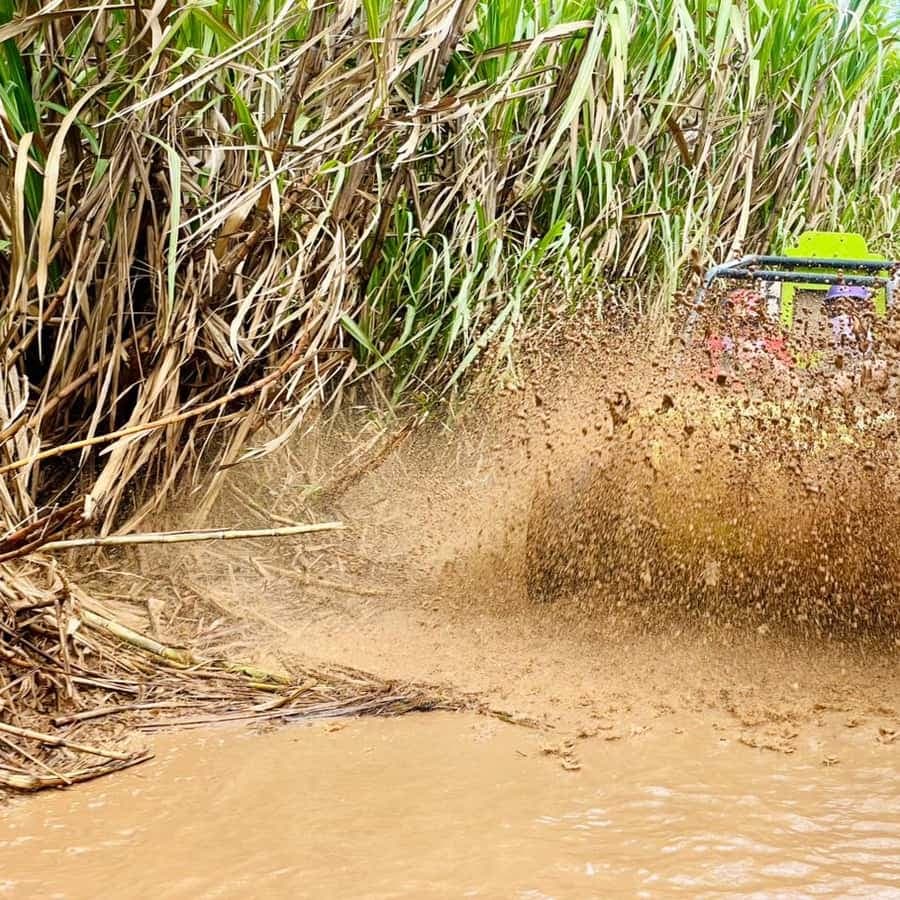 Bayahibe: Jungle Off-Road Buggy Adventure