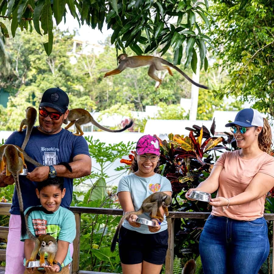 Samaná: Monkeyland and Open-Air Safari Truck Tour