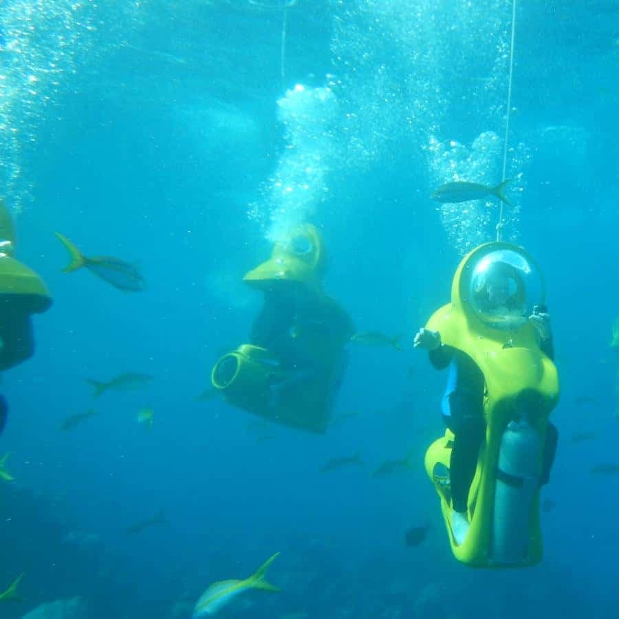 Scubadoo Punta Cana Diving Adventure