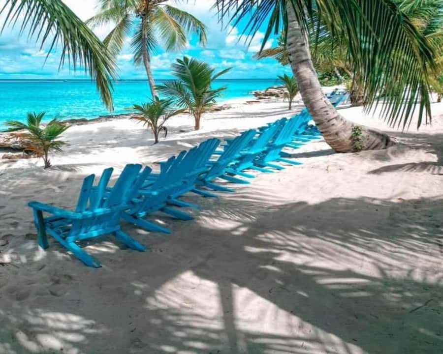 Carnevial Shore Exkurze: Ostrov Saona s projížďkou motorovým člunem - Dominican Republic