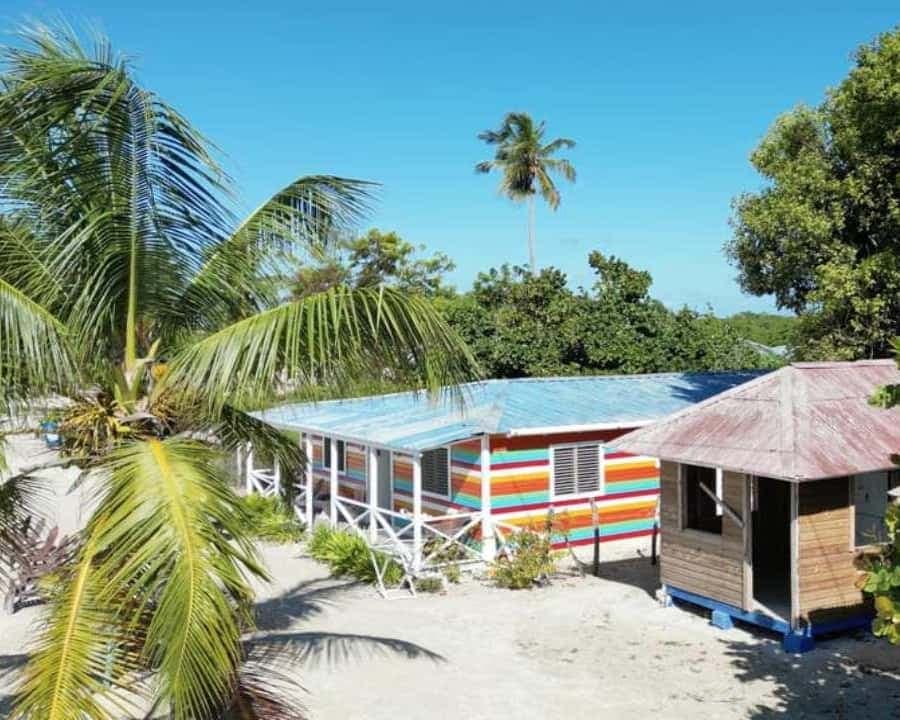 From Punta Cana: Saona Island Tour with BBQ Lunch