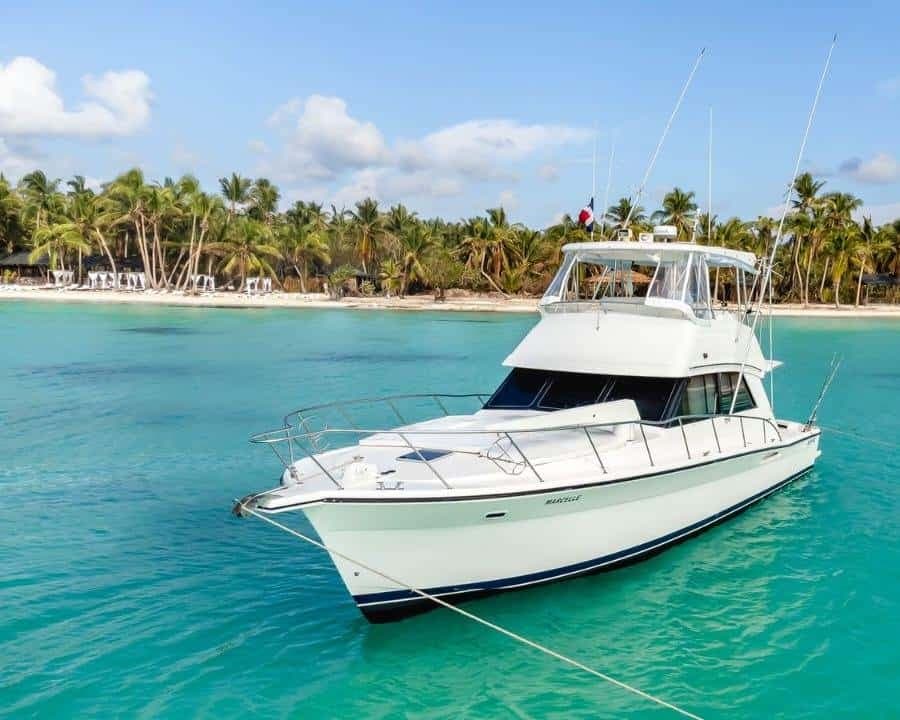 Punta Cana: Saona Island Private Yacht Tour with Snorkeling