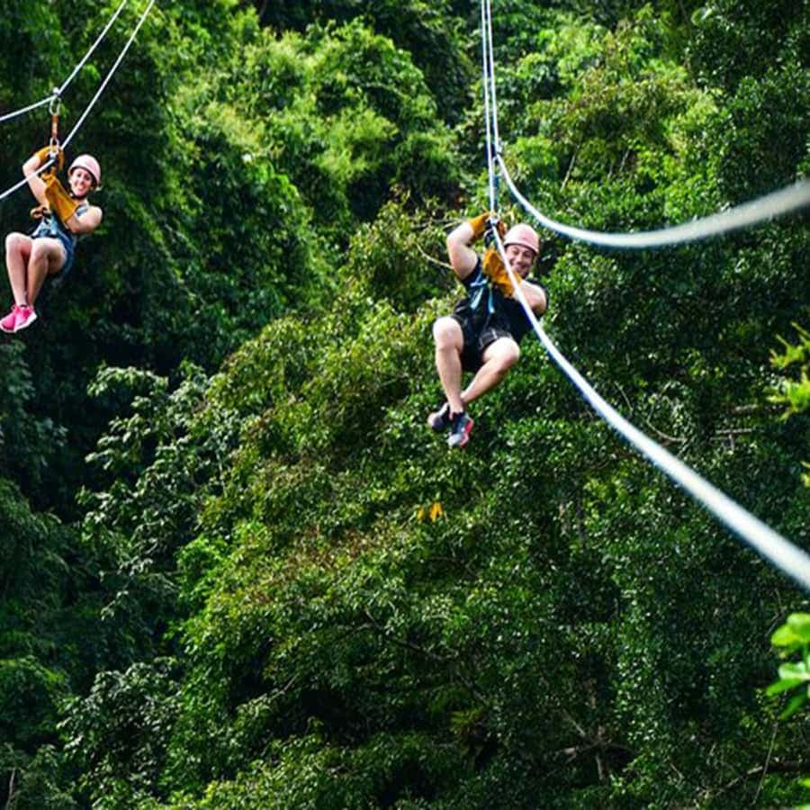 Punta Cana: Rainforest Zipline Adventure