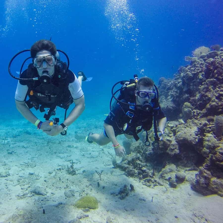 Punta Cana: Scuba Diving Adventure to Catalina Island