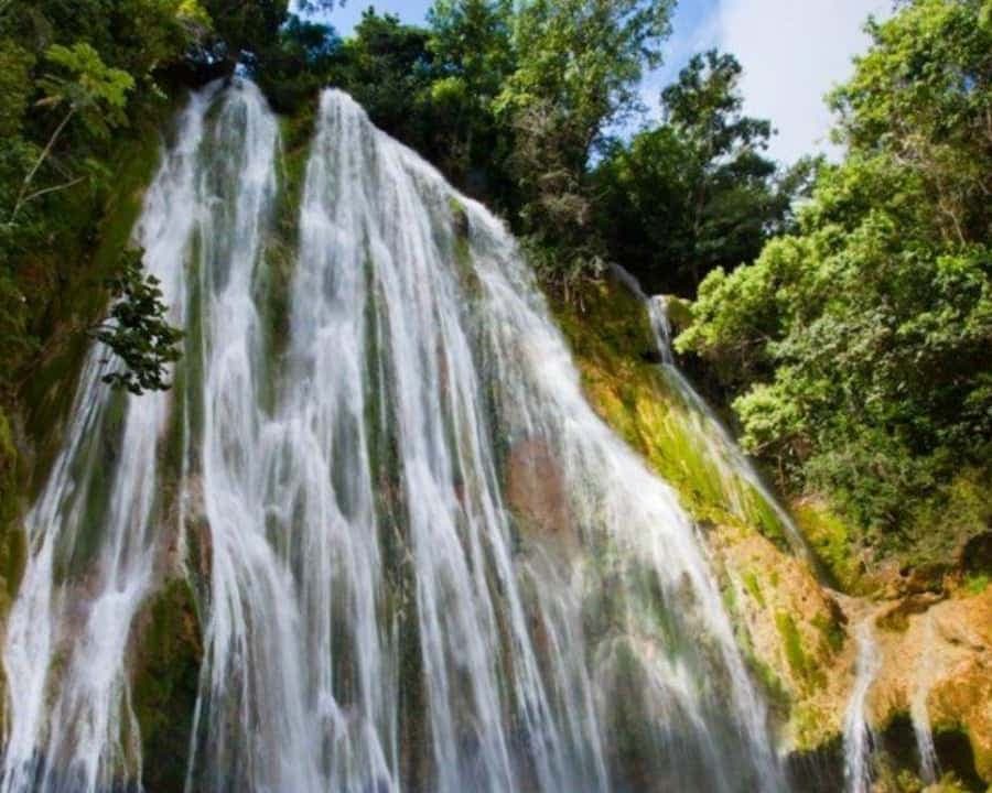 Punta Cana: Bacardi Island & Limon Waterfall Full-Day Tour