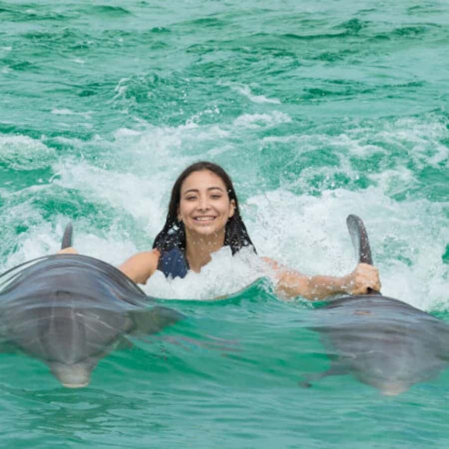 Punta Cana: Dolphin Royal Swim