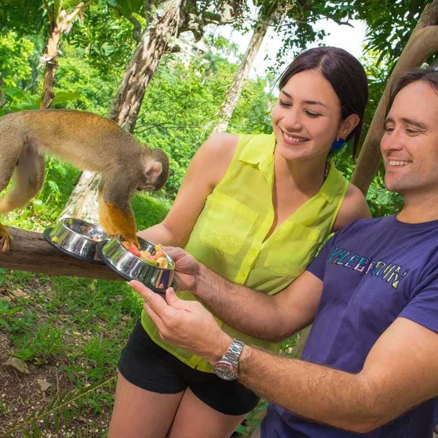 Monkeyland Punta Cana Natural Jungle and Guided Safari Tour