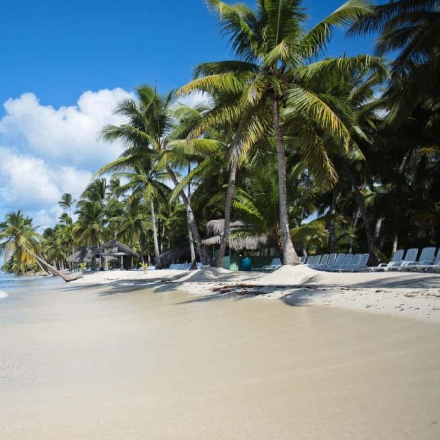 experience saona island from punta cana - Dominican Republic