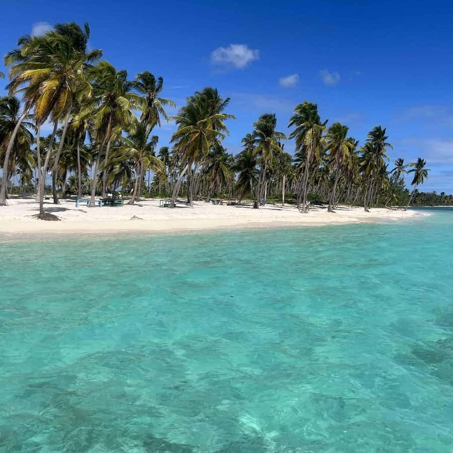 From La Romana: Saona Island All-Inclusive Day Trip