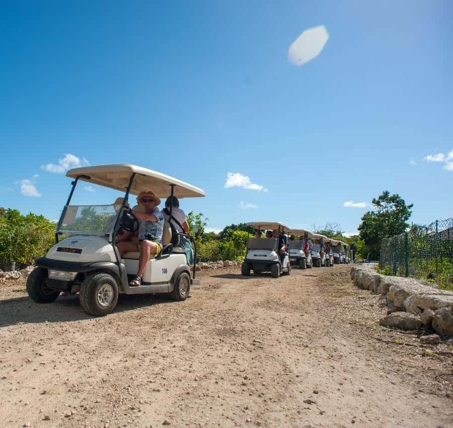 Golf Cart Eco Tour Half Day Tour