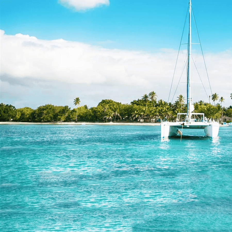 Saona Island Catamaran Cruise with Buffet