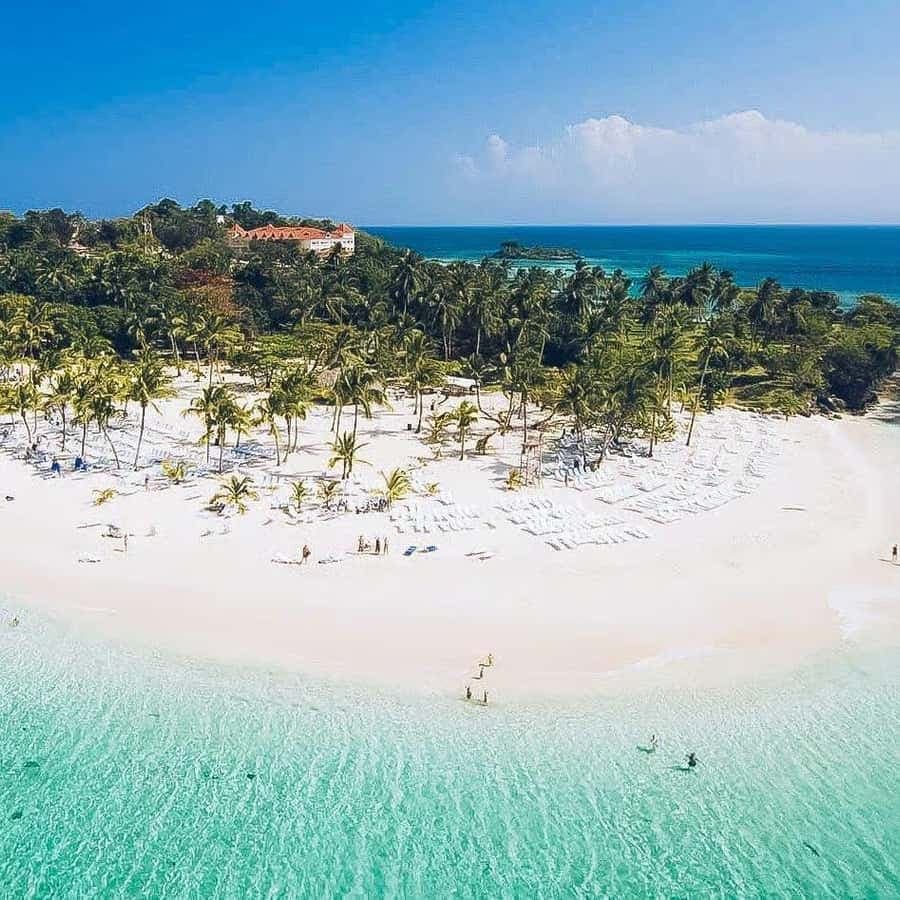 Punta Cana: Samaná Peninsula Whale Watching Day Trip