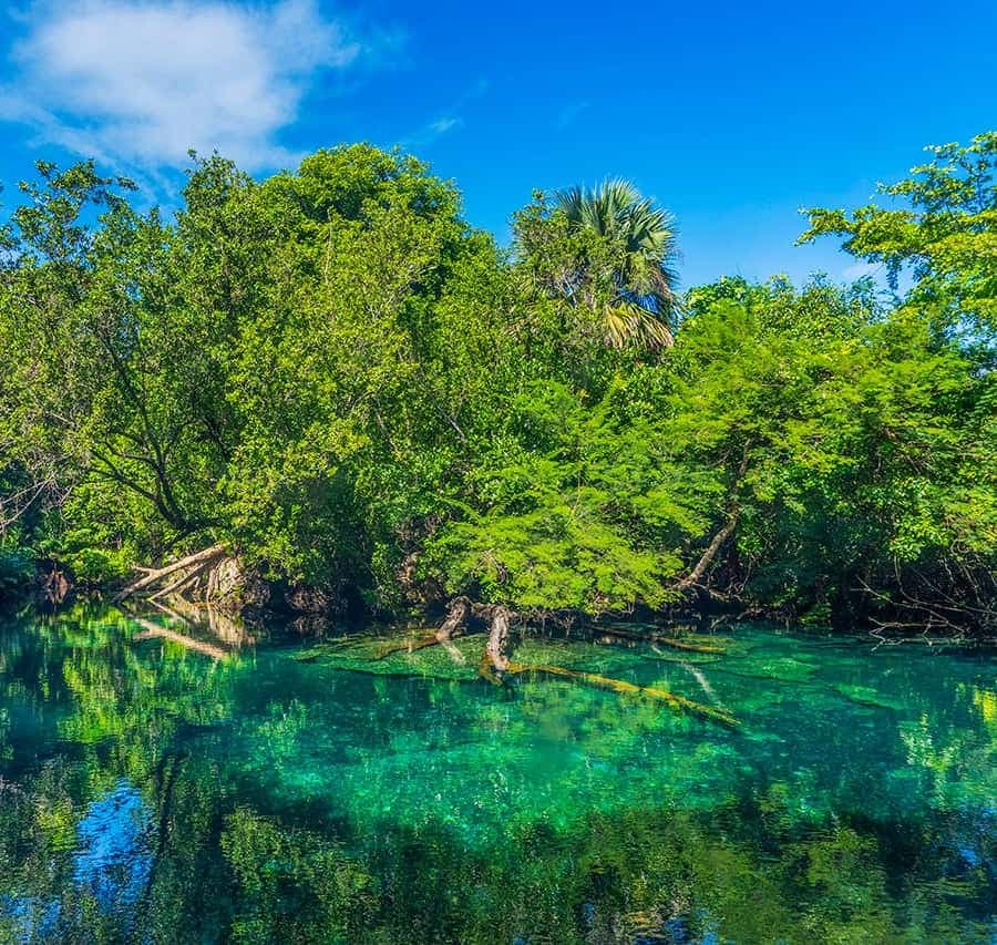 Swim in the Cenotes Ojos Indígenas