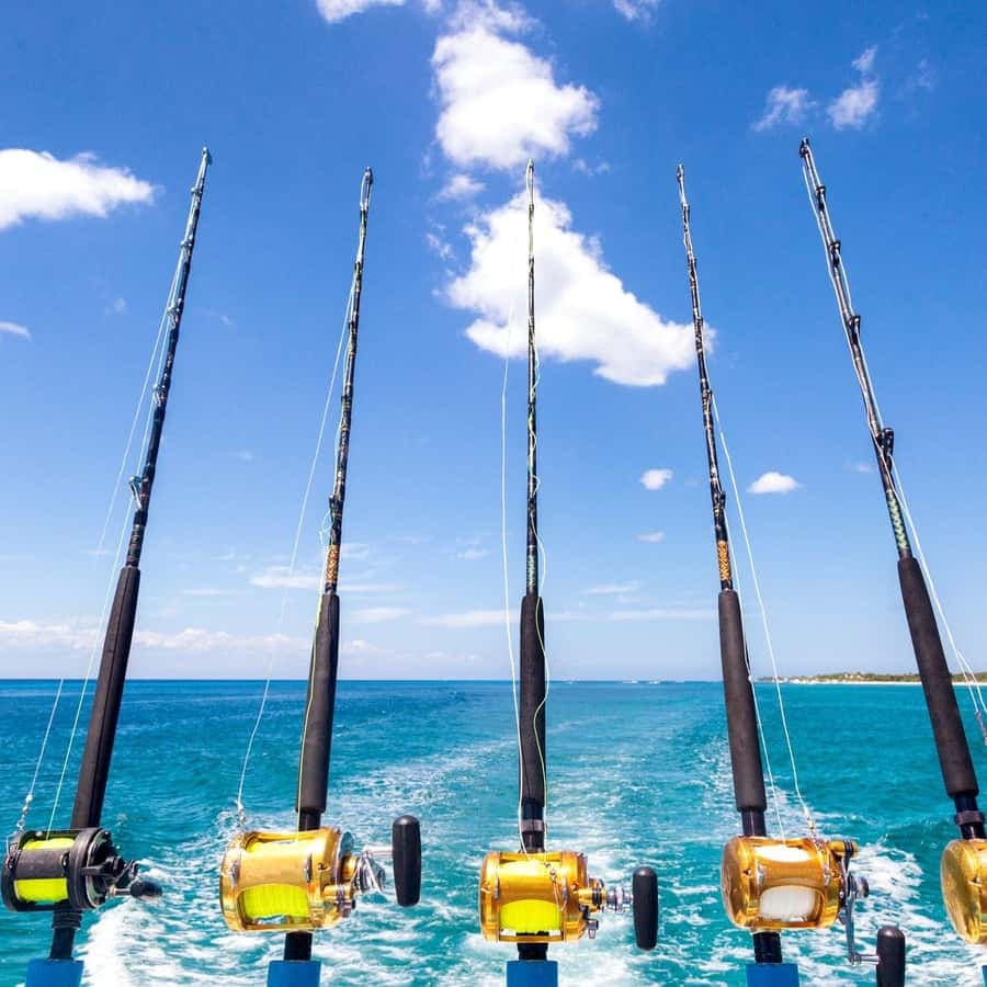 4 hour deep sea fishing experience from punta cana