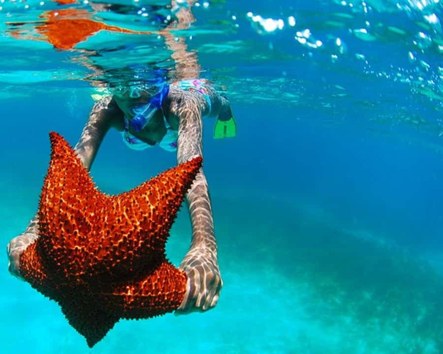 isla saona día completo