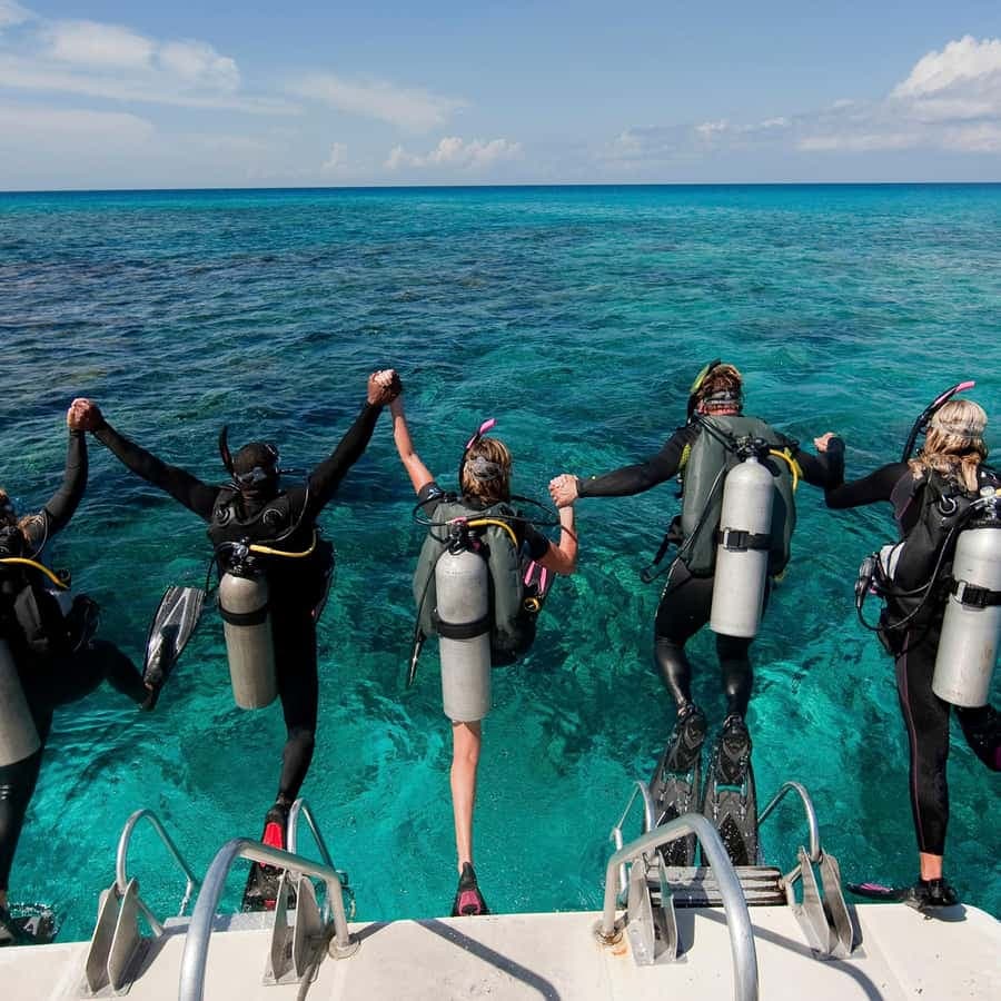 Punta Cana: Reef Diving Adventure Explore Underwater Wonders