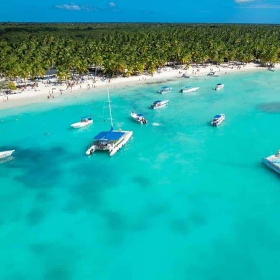 Punta Cana: Saona Island for hotel pick-up for groups - Dominican Republic