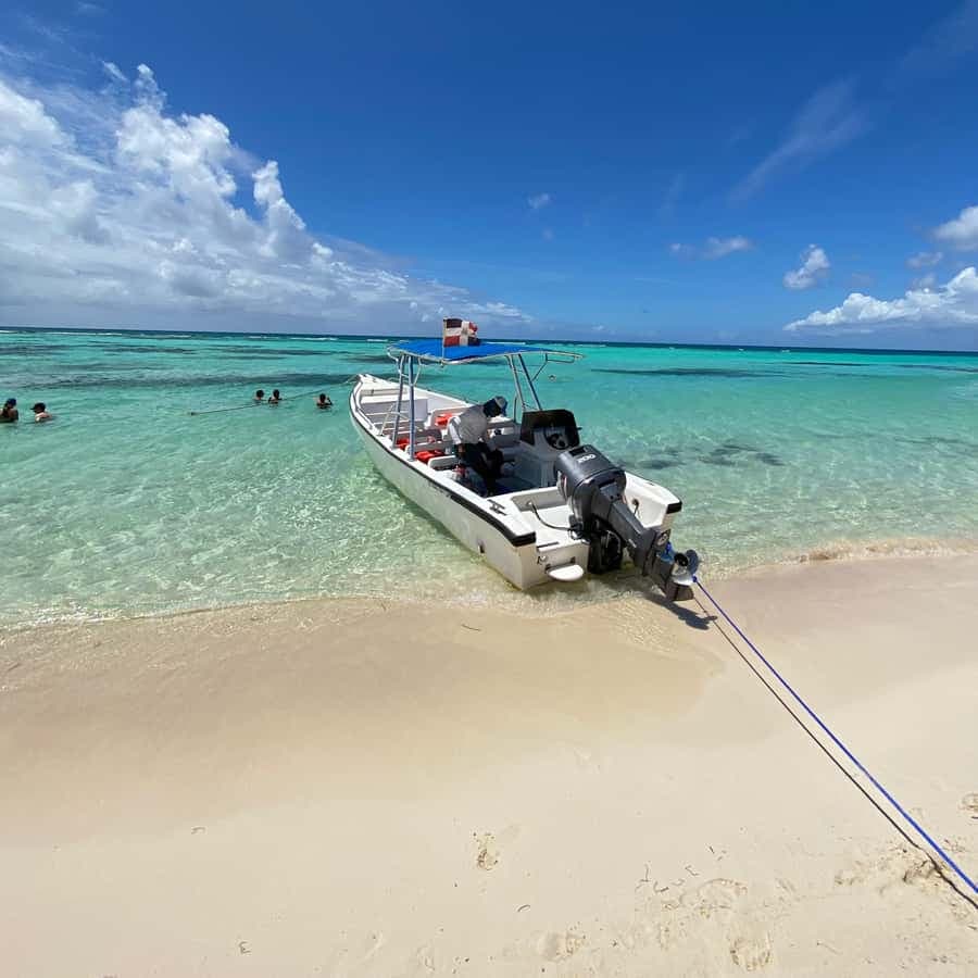 Saona Island VIP: 4 Beaches , Mano Juan & Canto de la Playa