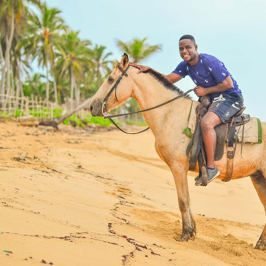 Punta Cana: Beach Sunset Horseback Riding with Hotel Pickup - Dominican Republic