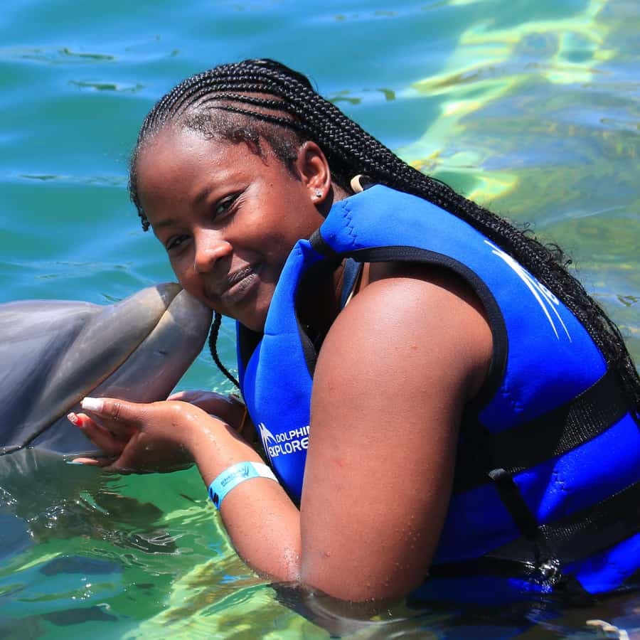 Punta Cana Dolphin Adventure: 40-Minute Interaction