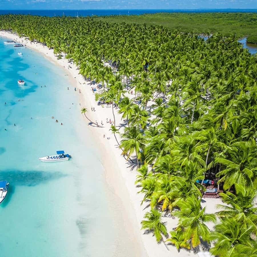 From La Romana: Saona Island All-Inclusive Day Trip