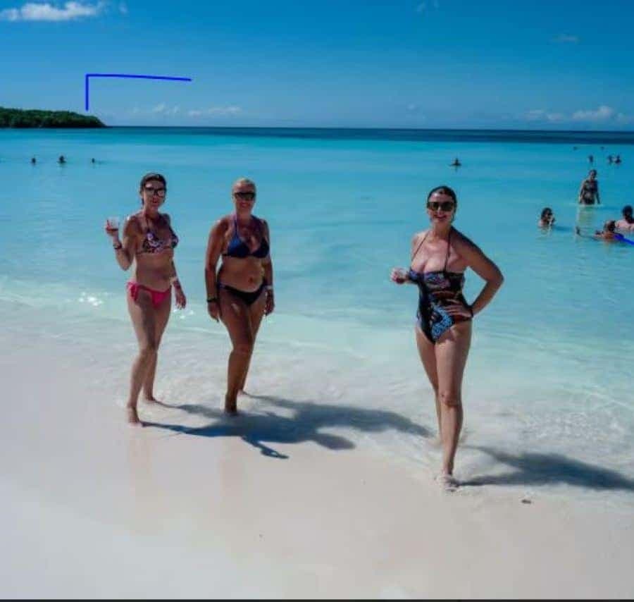 Punta Cana: Saona Island VIP Catamaran, Beach & Sunset Tour