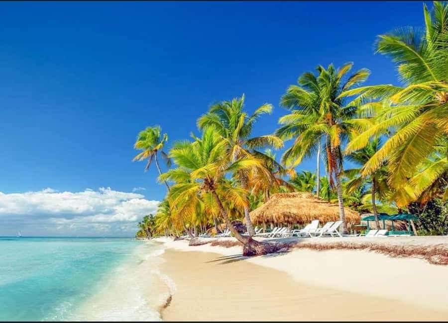Punta Cana : Done Buggy Excursions AtV /cenote on the Beach - Dominican Republic