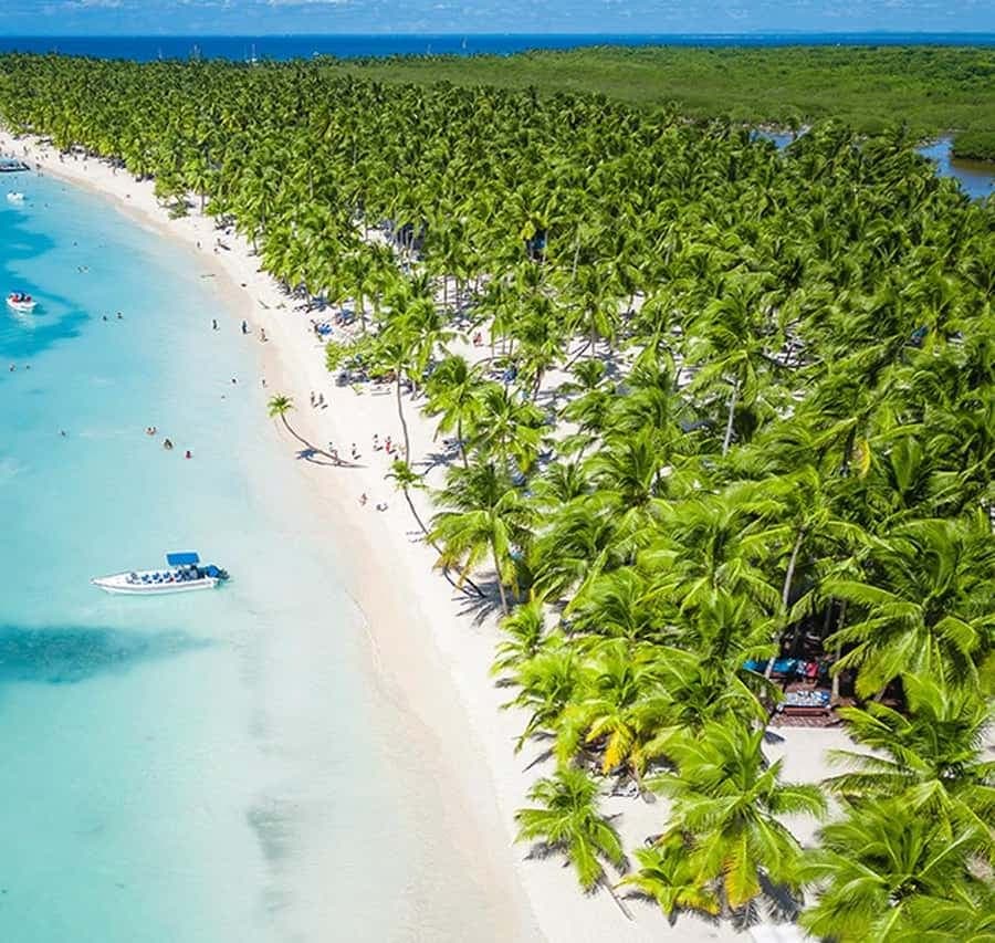 Saona Island Tour with Lunch and Open Bar