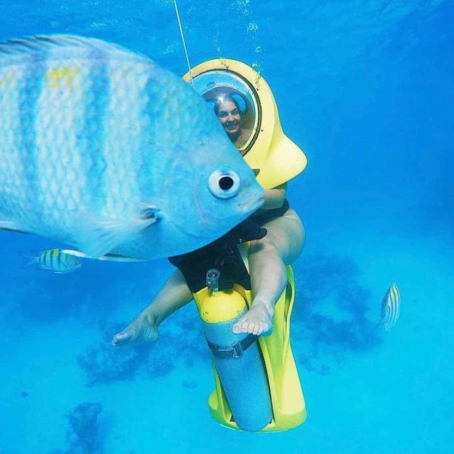 Punta Cana Scuba Doo: Discover Marine Life In a Fun Way (Copy)