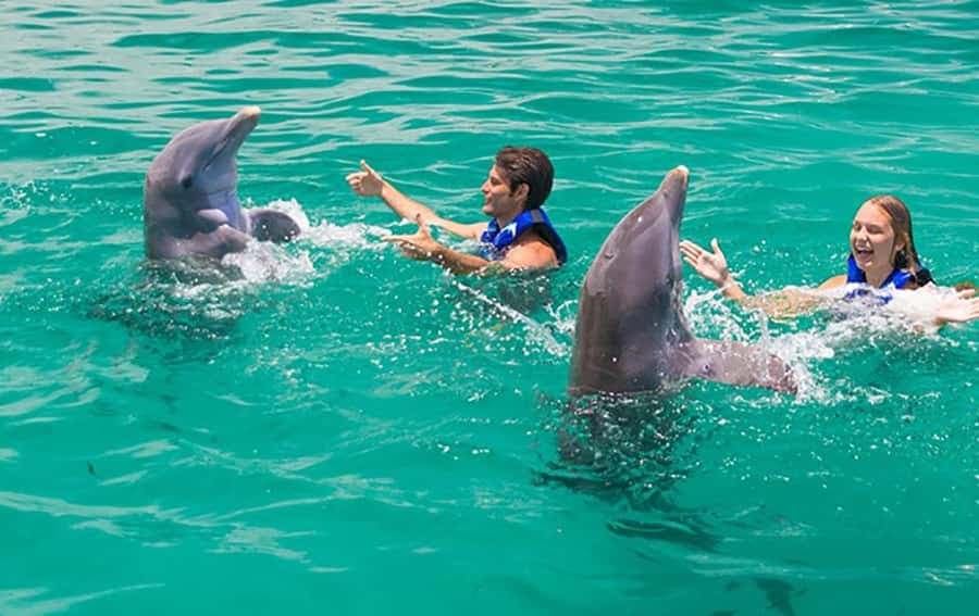 Punta Cana Dolphin Adventure: 40-Minute Interaction