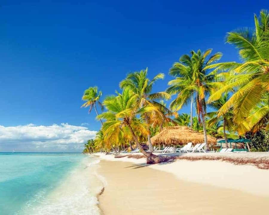 Full-Day Saona Island Excursion with Catamaran Party - Dominican Republic