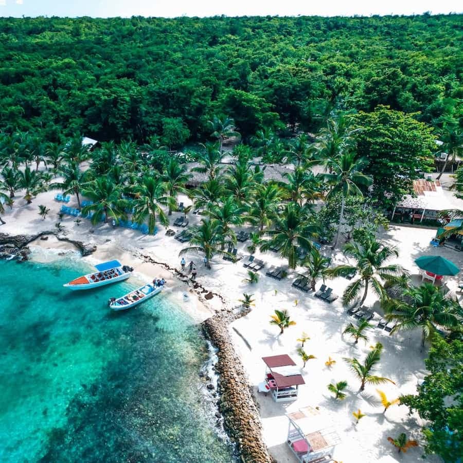 Isla Saona Speedboat Tour - Lunch, Wildlife & Natural Pools - Dominican Republic