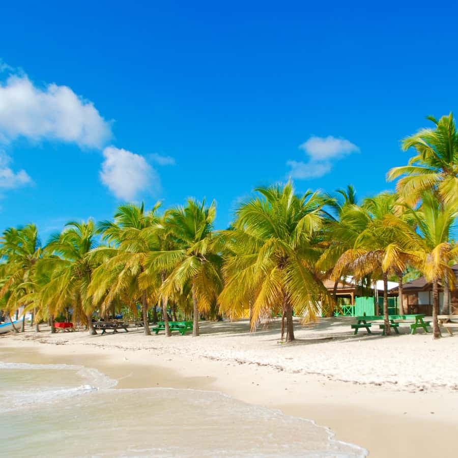 Saona Island & Chavon River Tour with Lunch & Drinks - Dominican Republic