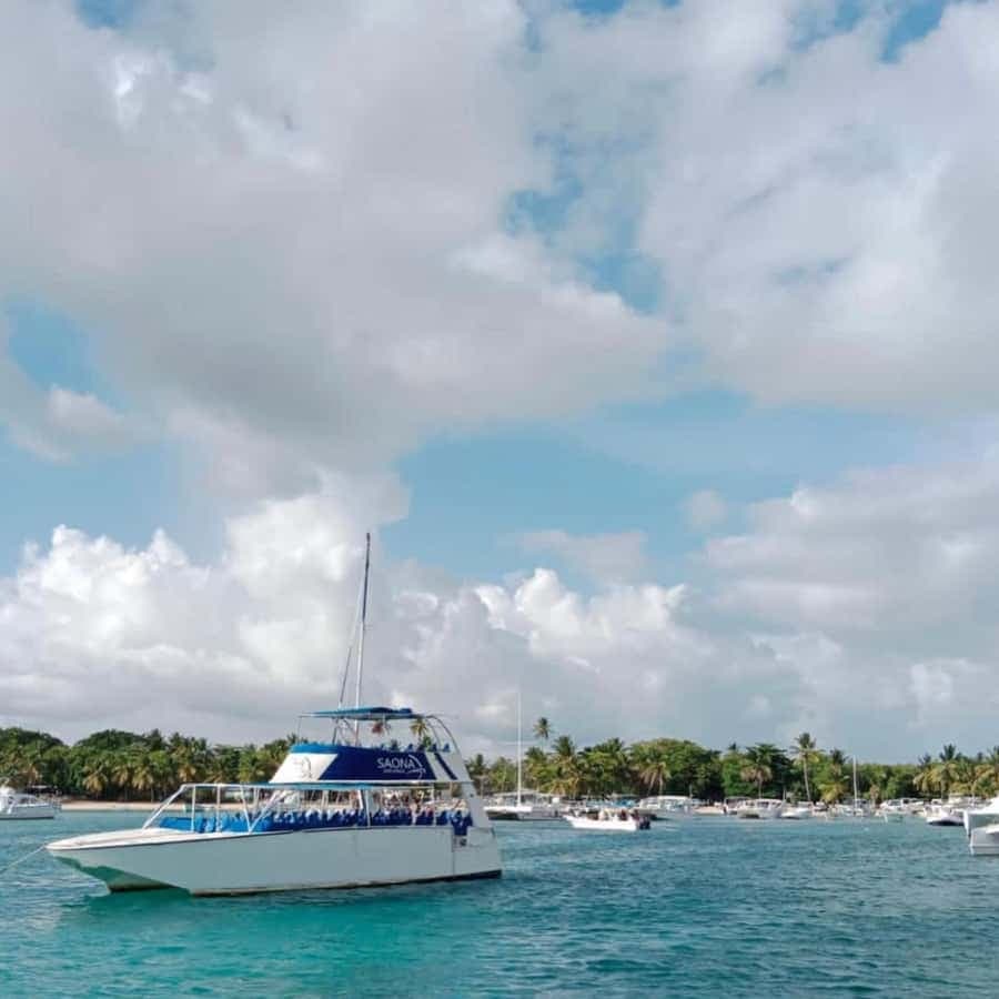 From Punta Cana: Saona Island Boat Trip with Buffet