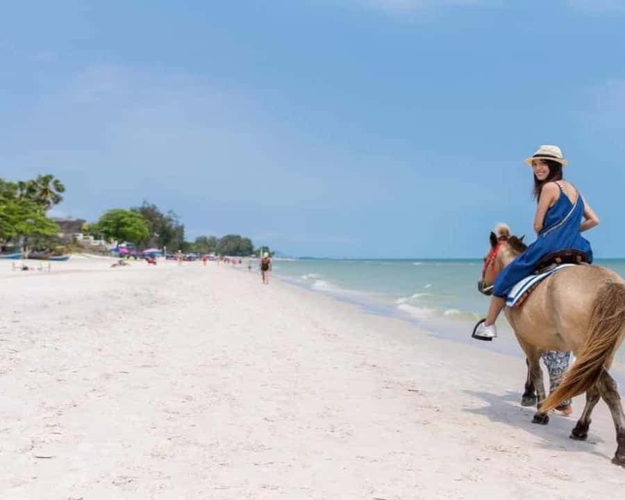 Punta Cana: Full-Day Adventure with Lunch & Drinks