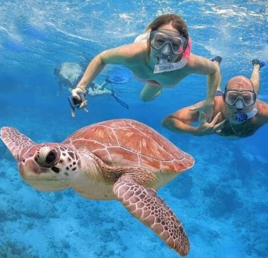 Punta Cana: Catalina Island Classic or VIP Sailing Tour - Dominican Republic