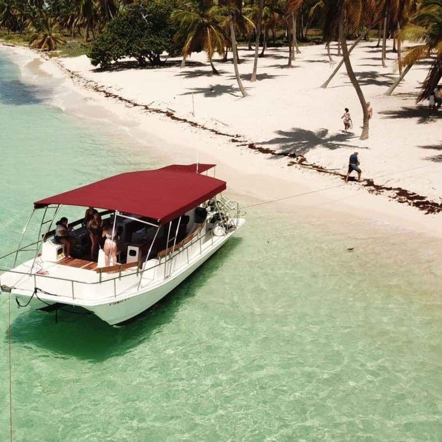 Saona Island and Canto de la Playa Boat Trip Adventure - Dominican Republic