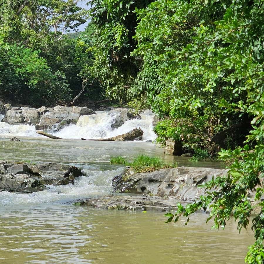 Individual full-day tour "Land & People" - from/to Bávaro/Punta Cana - Dominican Republic