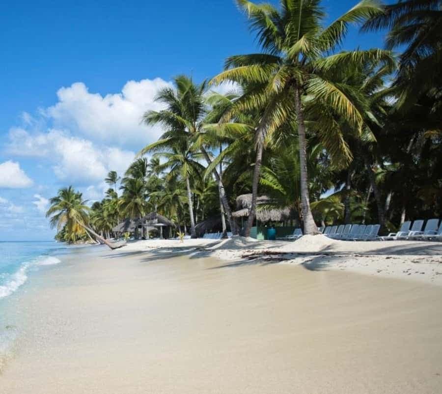 Saona Island all day with lunch and open bar departing from Punta Cana