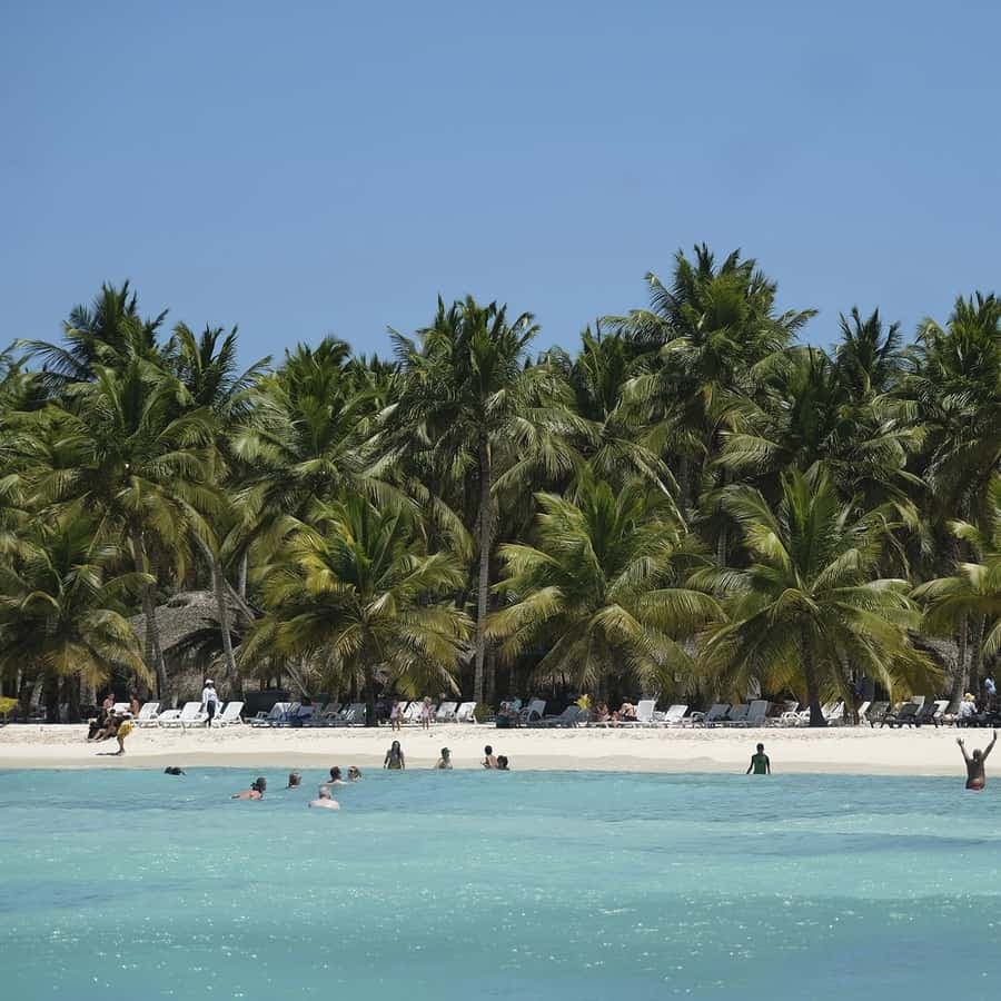 Bayahibe: Saona Island Boat Tour Small Group - Dominican Republic