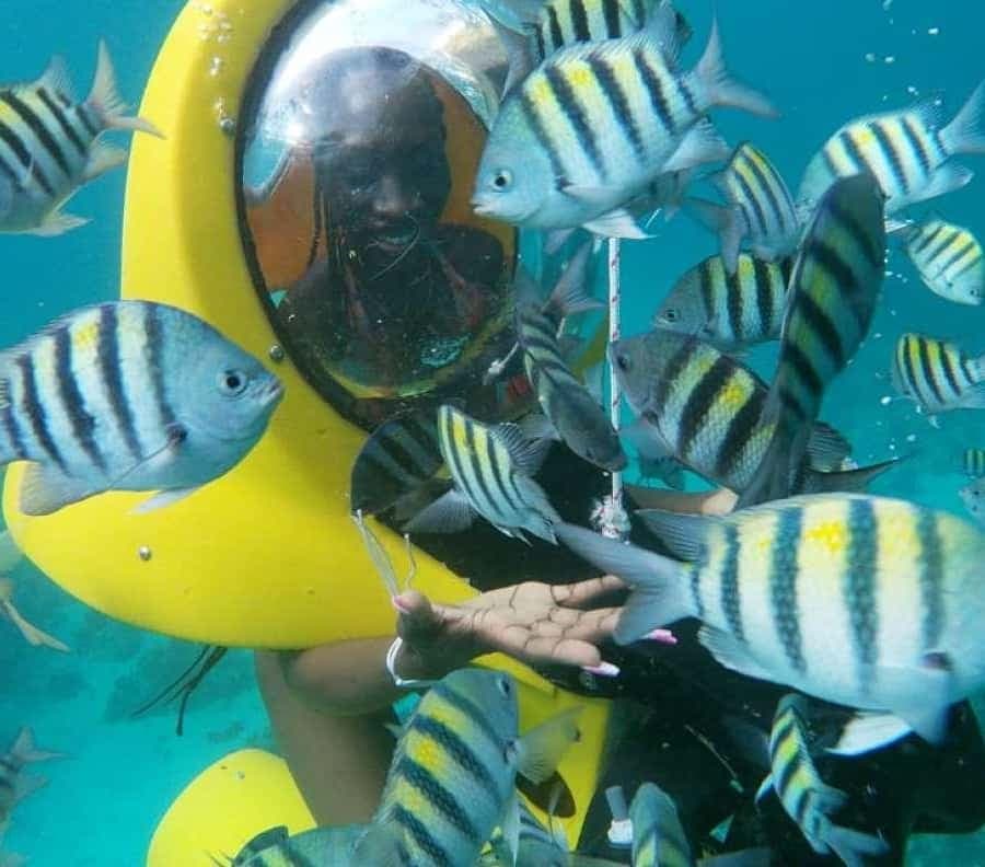 Scubadoo Punta Cana Diving Adventure