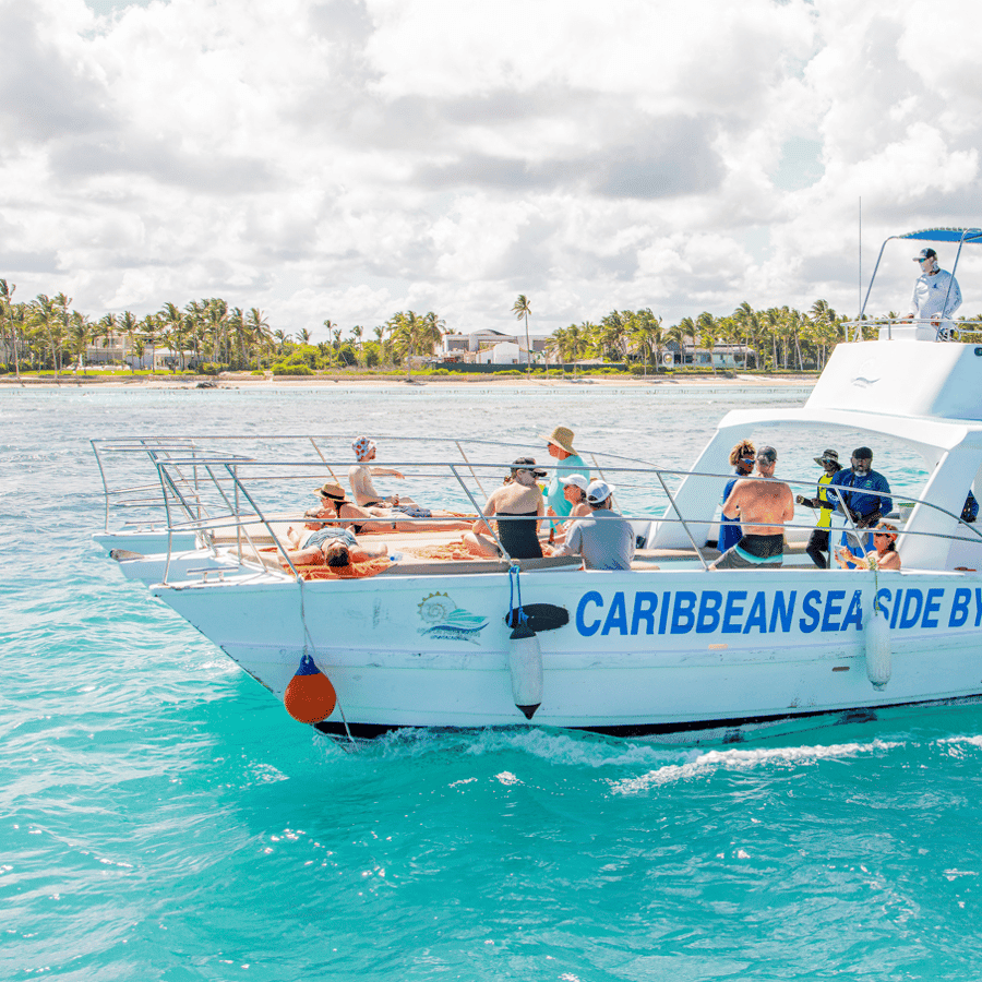 Caribbean Sea With Lagoon Half Day Tour