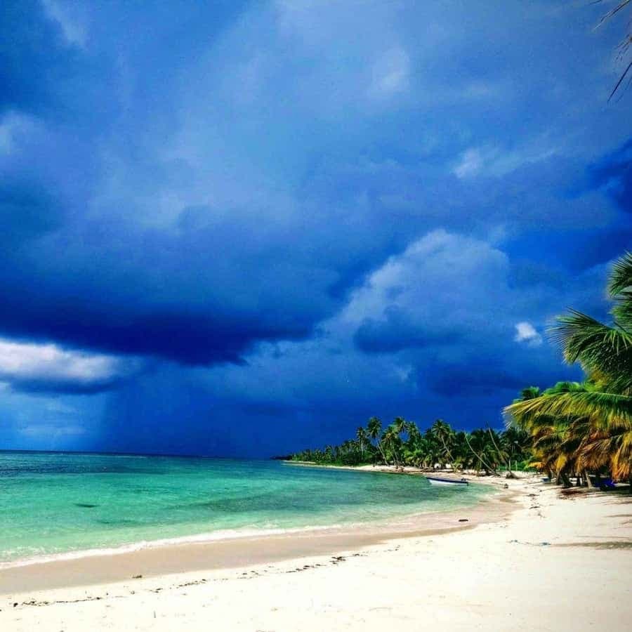 Saona Island and Canto de la Playa Boat Trip Adventure