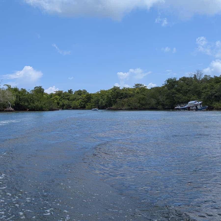 Mangove boat tour - Rio San Juan Guided 4-6 hour tour