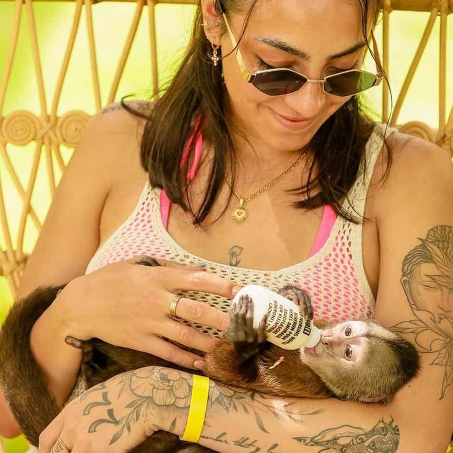 Punta Cana: Monkey Houses Private Tour